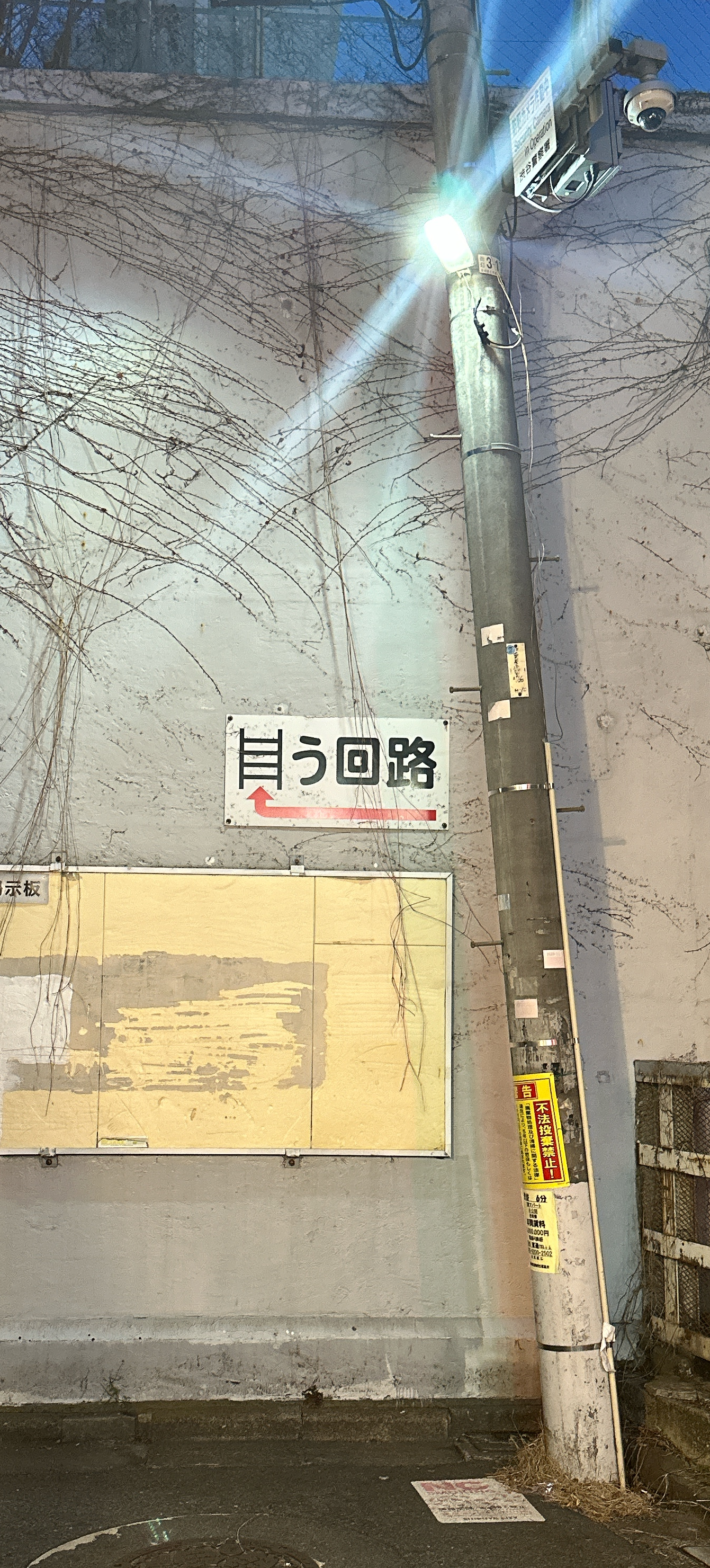 本場札幌の東京スープカレーを板春雨で楽しむ渋谷駅近『SHIBUYA SPICE』 迂回路